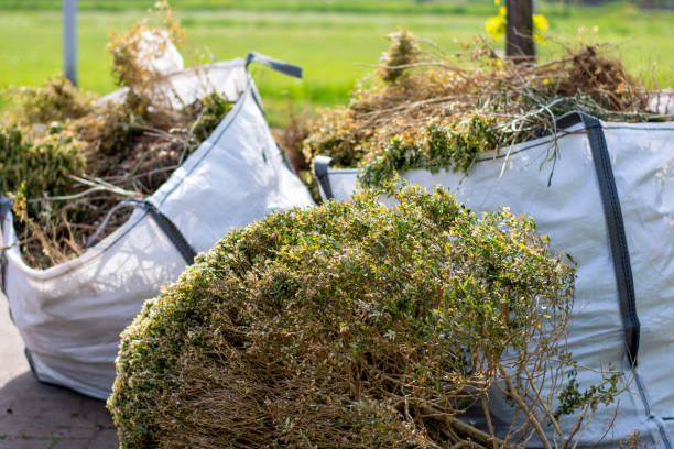 Professional Junk Removal  in Rushville, IL